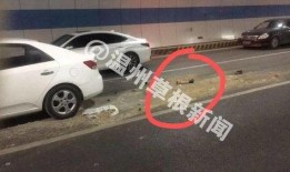 泉州车祸最新爆料新闻,事故原因及伤亡情况披露